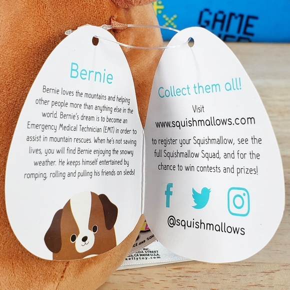 Squishmallow Bernie the Saint Bernard 5" UltraSoft Stuffed Animal Plush Toy NWT - Picture 11 of 12